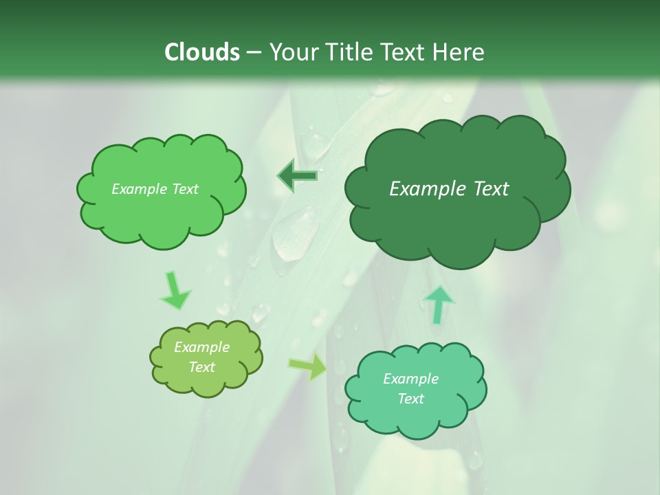 A Green Plant With Drops Of Water On It PowerPoint Template