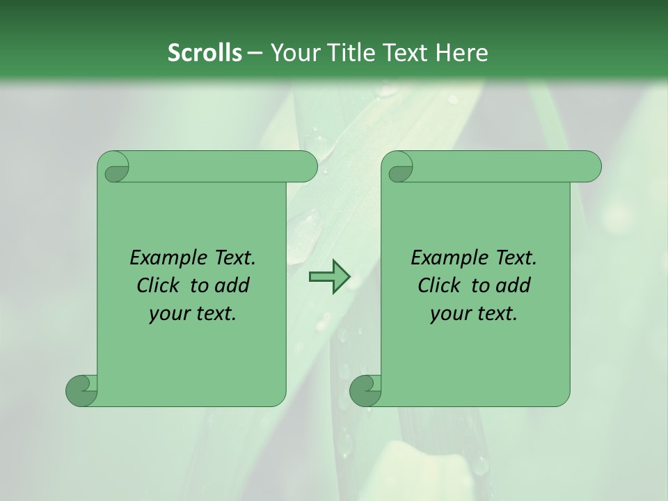 A Green Plant With Drops Of Water On It PowerPoint Template