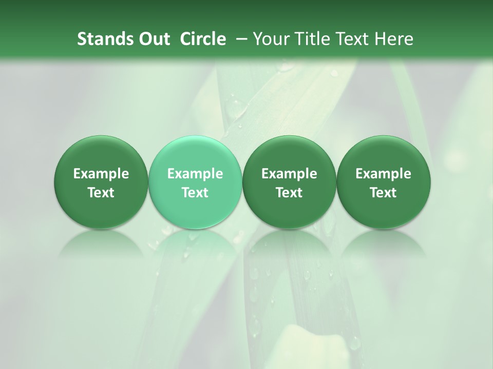 A Green Plant With Drops Of Water On It PowerPoint Template