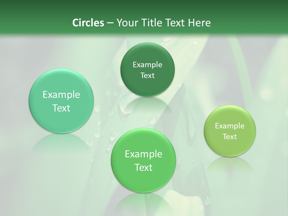 A Green Plant With Drops Of Water On It PowerPoint Template