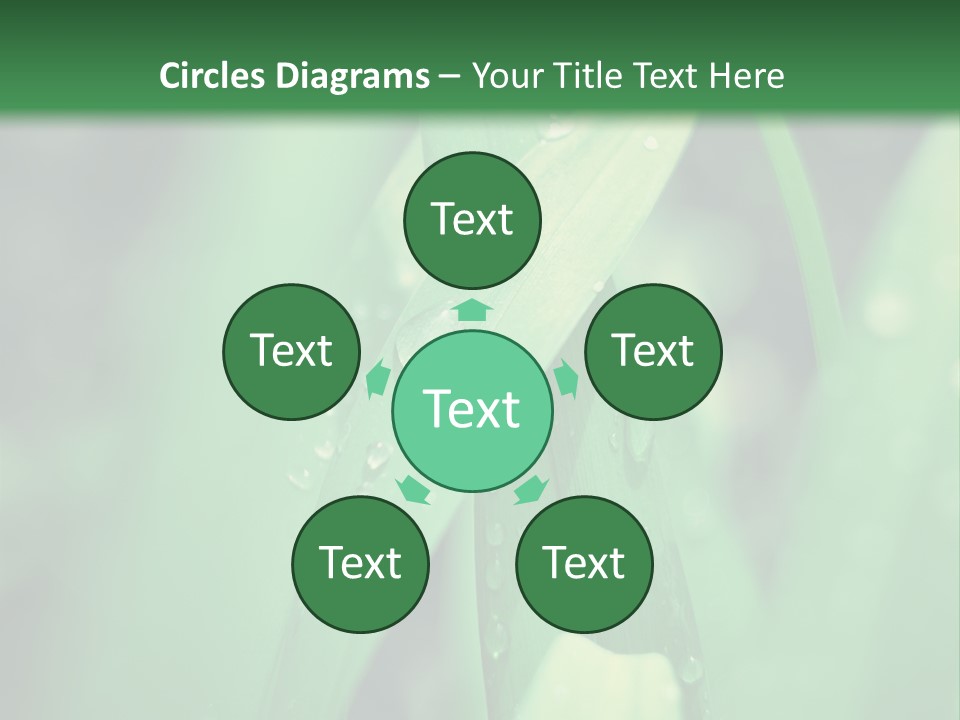 A Green Plant With Drops Of Water On It PowerPoint Template