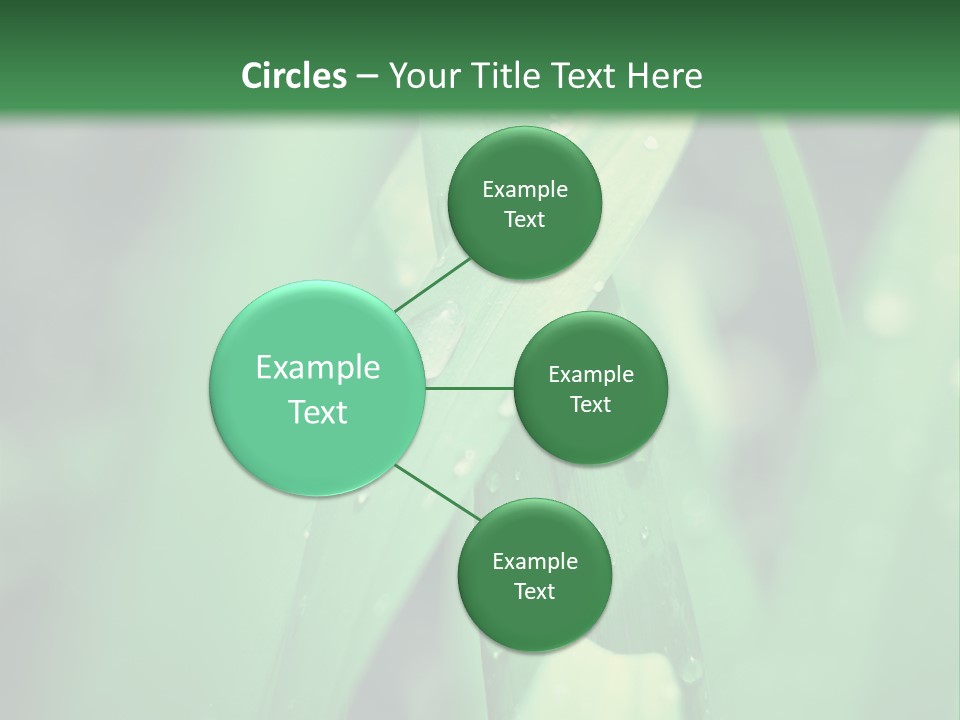 A Green Plant With Drops Of Water On It PowerPoint Template