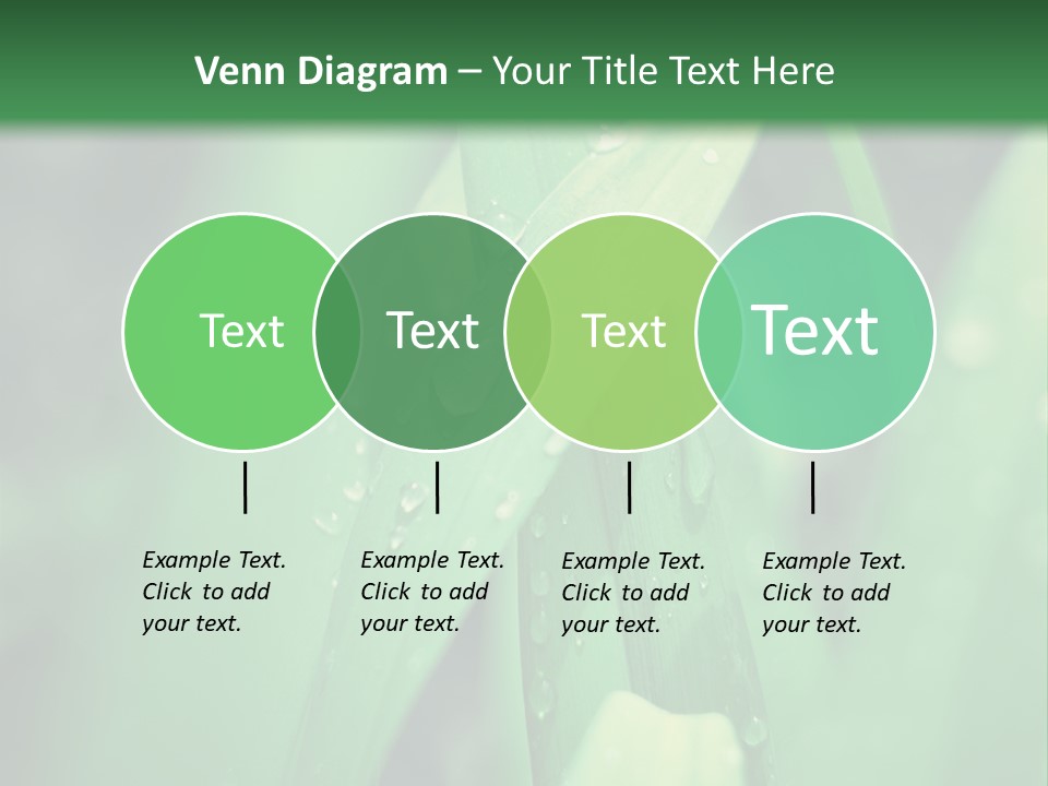 A Green Plant With Drops Of Water On It PowerPoint Template