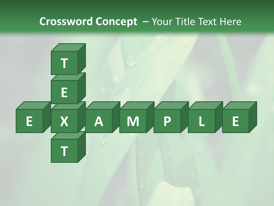 A Green Plant With Drops Of Water On It PowerPoint Template