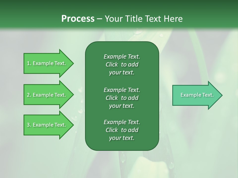 A Green Plant With Drops Of Water On It PowerPoint Template