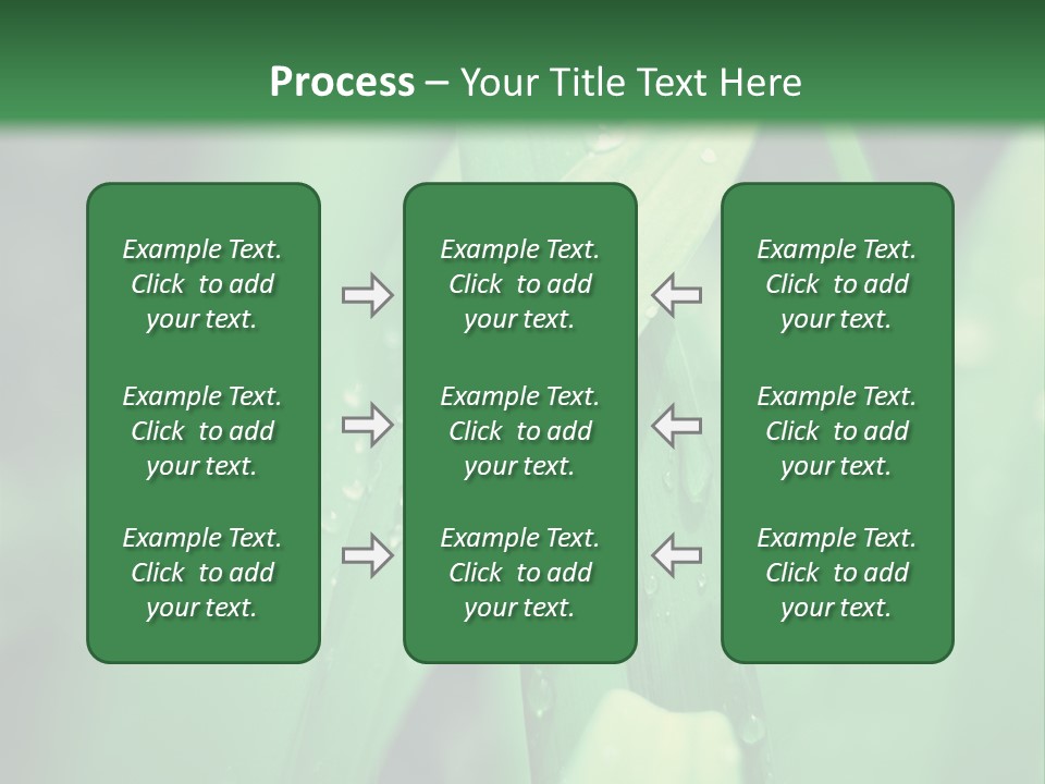 A Green Plant With Drops Of Water On It PowerPoint Template