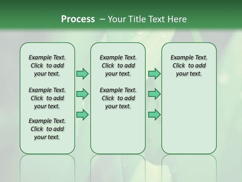 A Green Plant With Drops Of Water On It PowerPoint Template