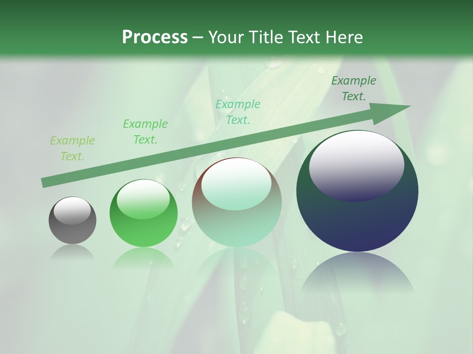 A Green Plant With Drops Of Water On It PowerPoint Template