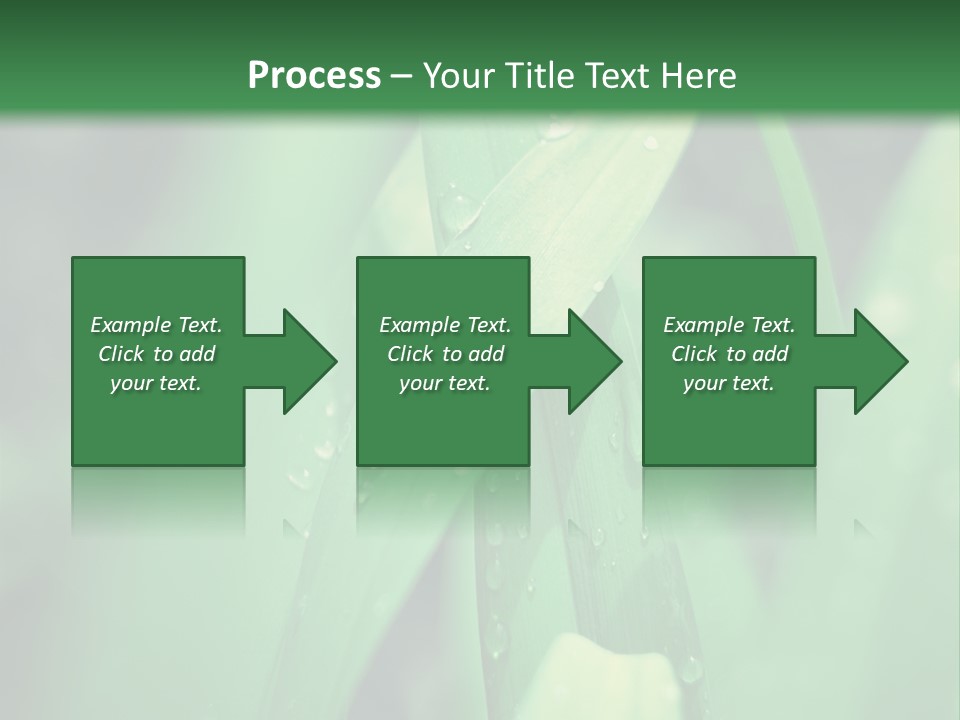 A Green Plant With Drops Of Water On It PowerPoint Template