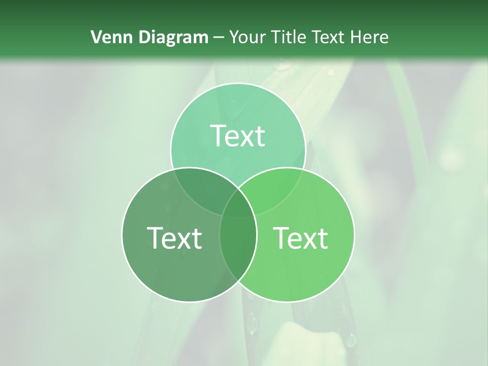 A Green Plant With Drops Of Water On It PowerPoint Template