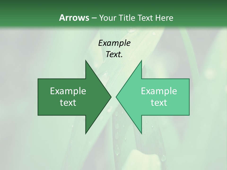 A Green Plant With Drops Of Water On It PowerPoint Template