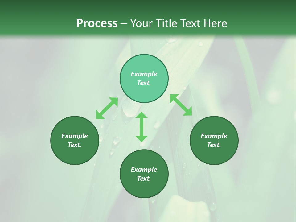 A Green Plant With Drops Of Water On It PowerPoint Template
