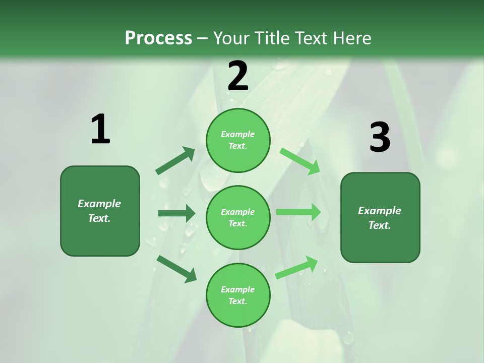 A Green Plant With Drops Of Water On It PowerPoint Template