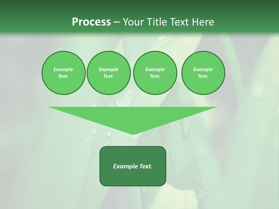 A Green Plant With Drops Of Water On It PowerPoint Template
