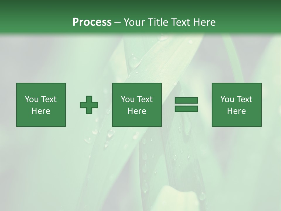 A Green Plant With Drops Of Water On It PowerPoint Template