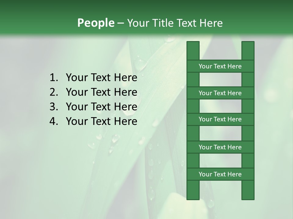 A Green Plant With Drops Of Water On It PowerPoint Template