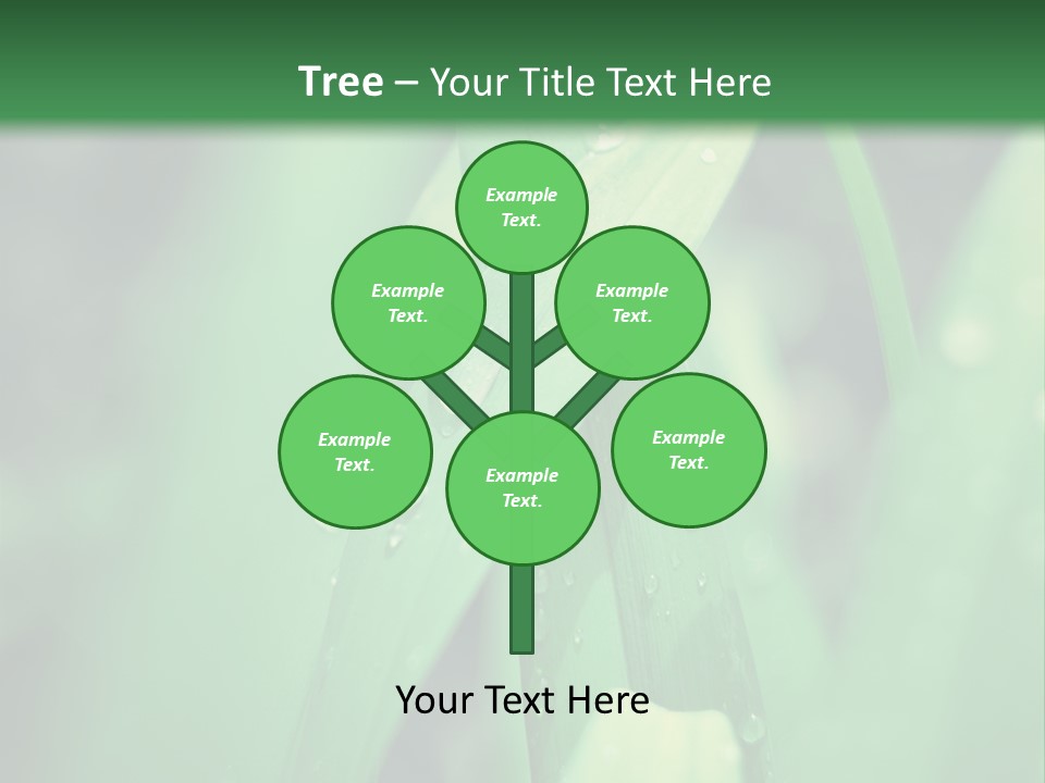 A Green Plant With Drops Of Water On It PowerPoint Template