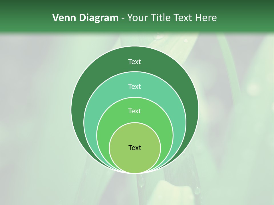 A Green Plant With Drops Of Water On It PowerPoint Template