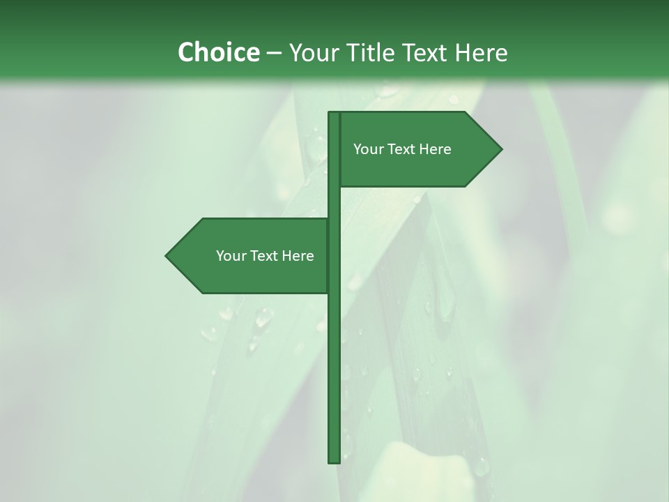 A Green Plant With Drops Of Water On It PowerPoint Template