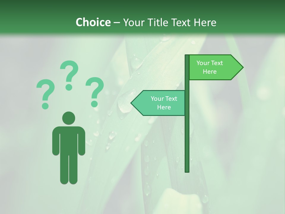A Green Plant With Drops Of Water On It PowerPoint Template