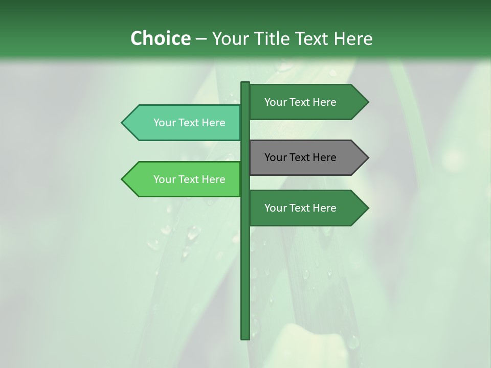 A Green Plant With Drops Of Water On It PowerPoint Template