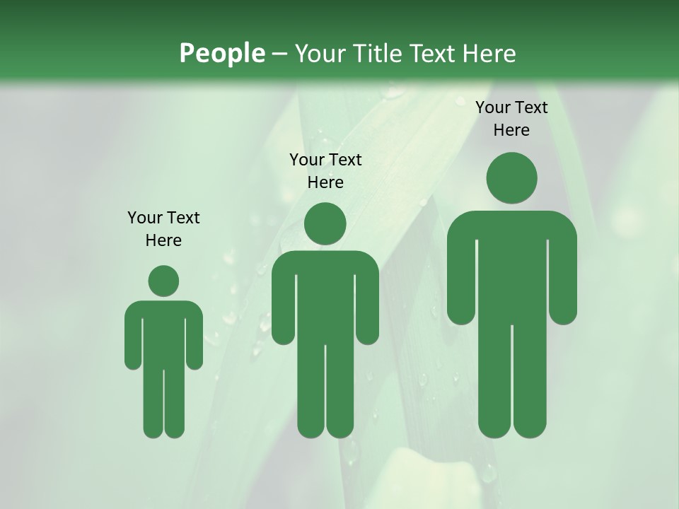 A Green Plant With Drops Of Water On It PowerPoint Template