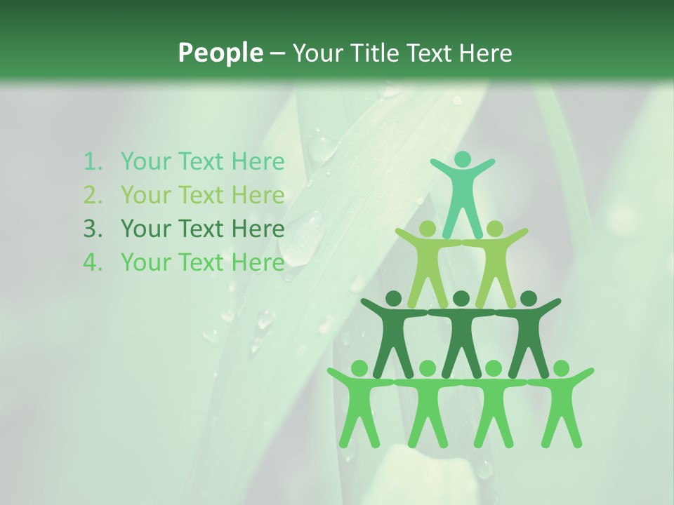 A Green Plant With Drops Of Water On It PowerPoint Template