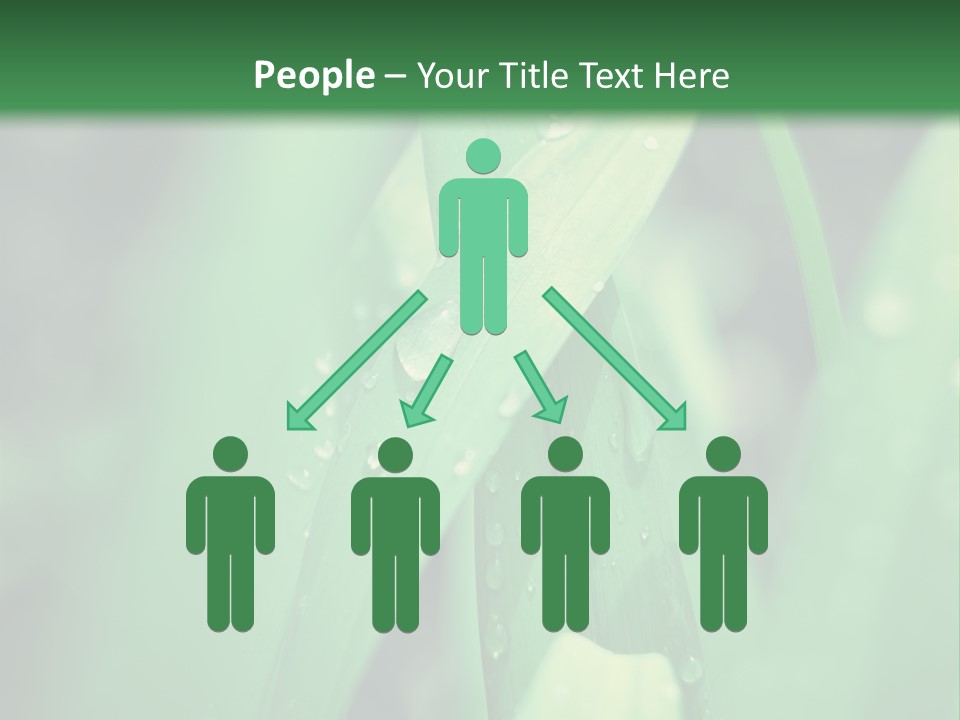 A Green Plant With Drops Of Water On It PowerPoint Template