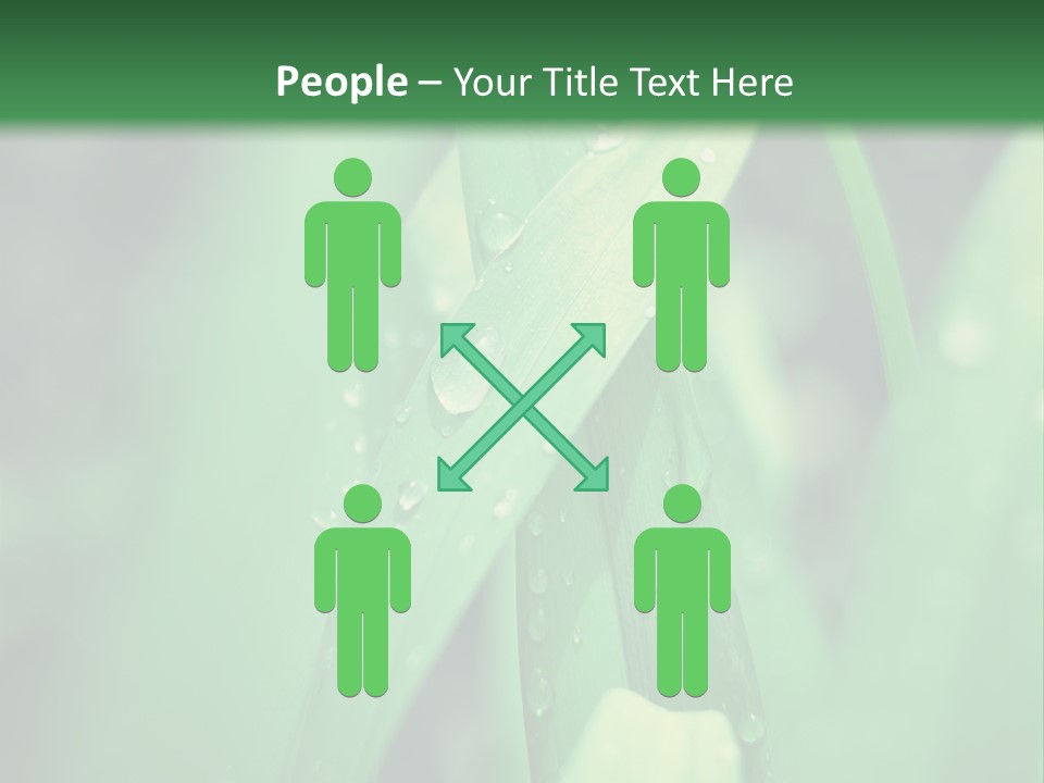 A Green Plant With Drops Of Water On It PowerPoint Template