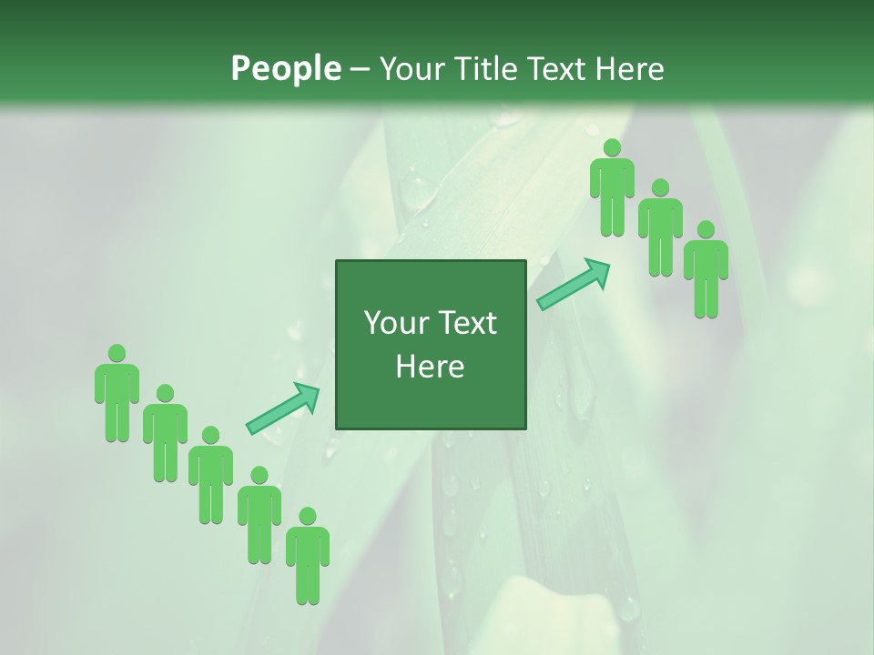 A Green Plant With Drops Of Water On It PowerPoint Template