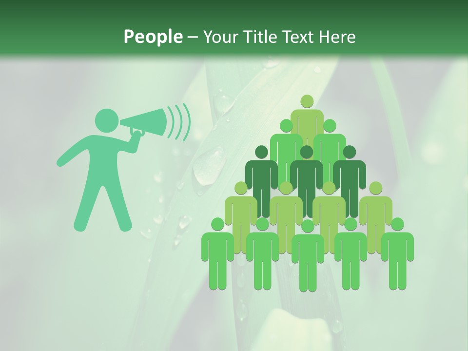 A Green Plant With Drops Of Water On It PowerPoint Template