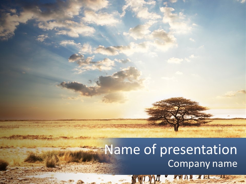 A Group Of Elephants In A Field With A Tree In The Background PowerPoint Template