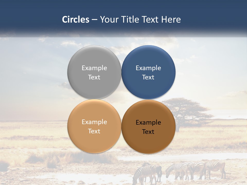 A Group Of Elephants In A Field With A Tree In The Background PowerPoint Template