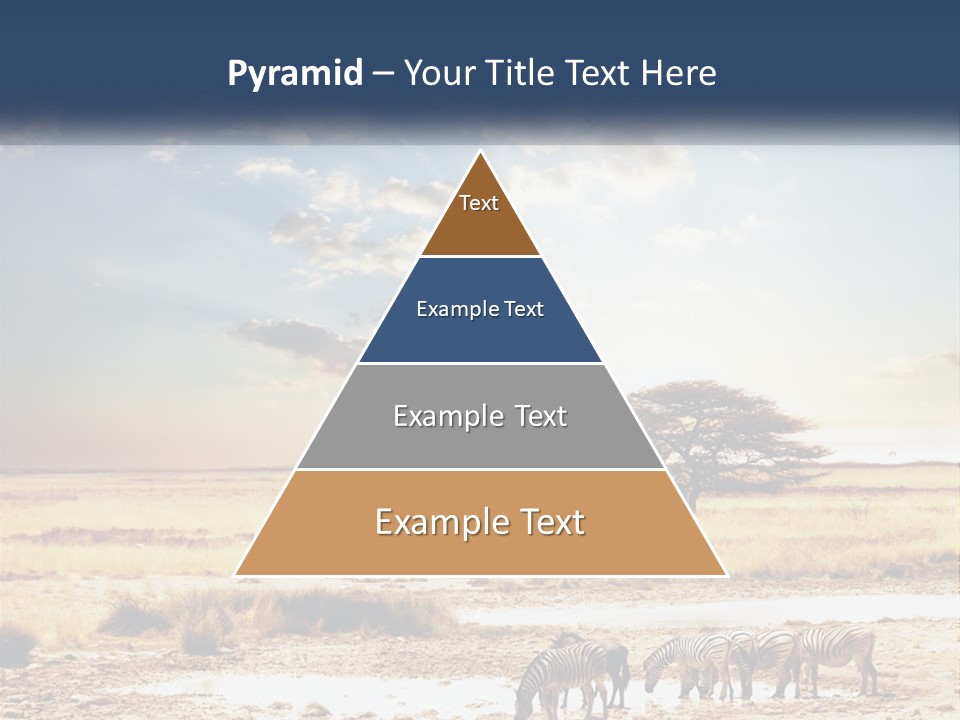 A Group Of Elephants In A Field With A Tree In The Background PowerPoint Template
