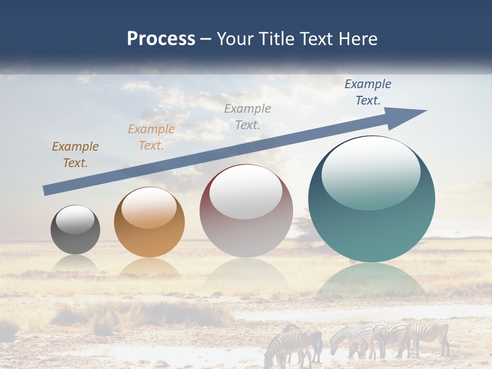 A Group Of Elephants In A Field With A Tree In The Background PowerPoint Template