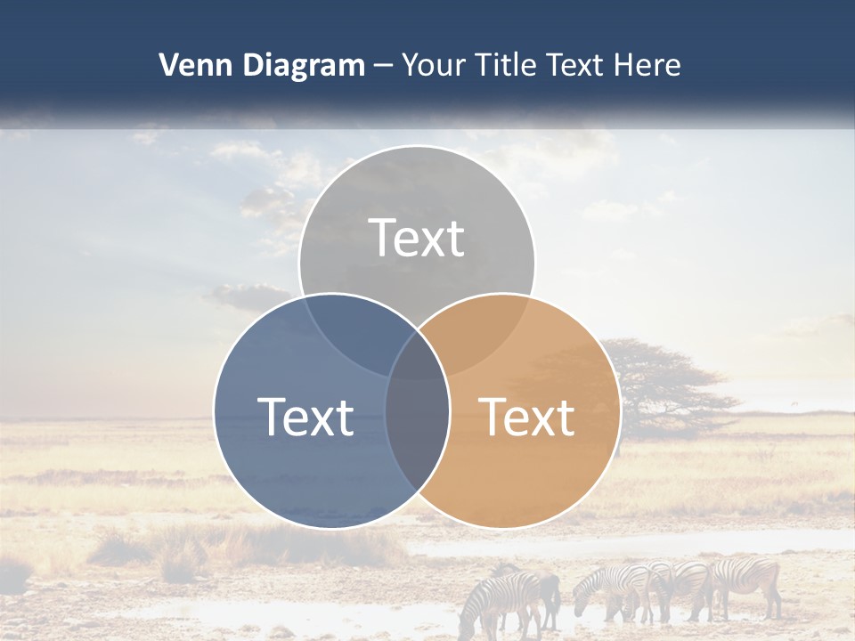A Group Of Elephants In A Field With A Tree In The Background PowerPoint Template