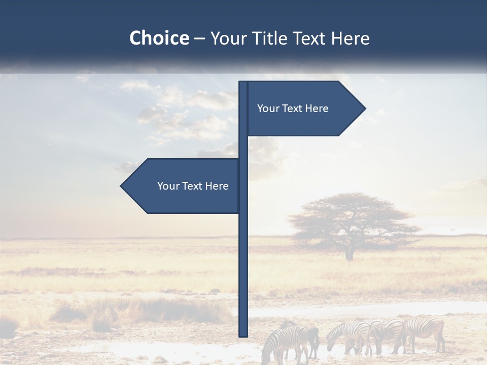 A Group Of Elephants In A Field With A Tree In The Background PowerPoint Template