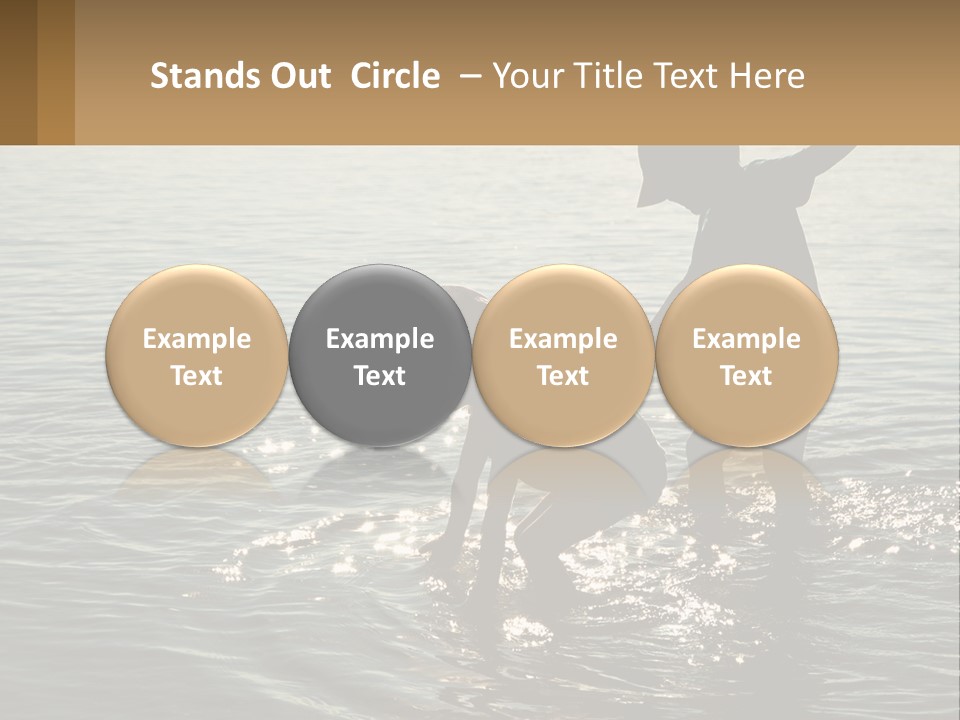 Two Children Playing In A Body Of Water PowerPoint Template