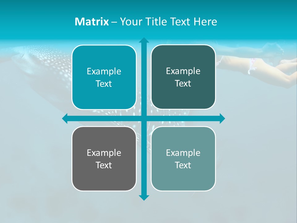 A Woman Swimming Next To A Whale In The Ocean PowerPoint Template