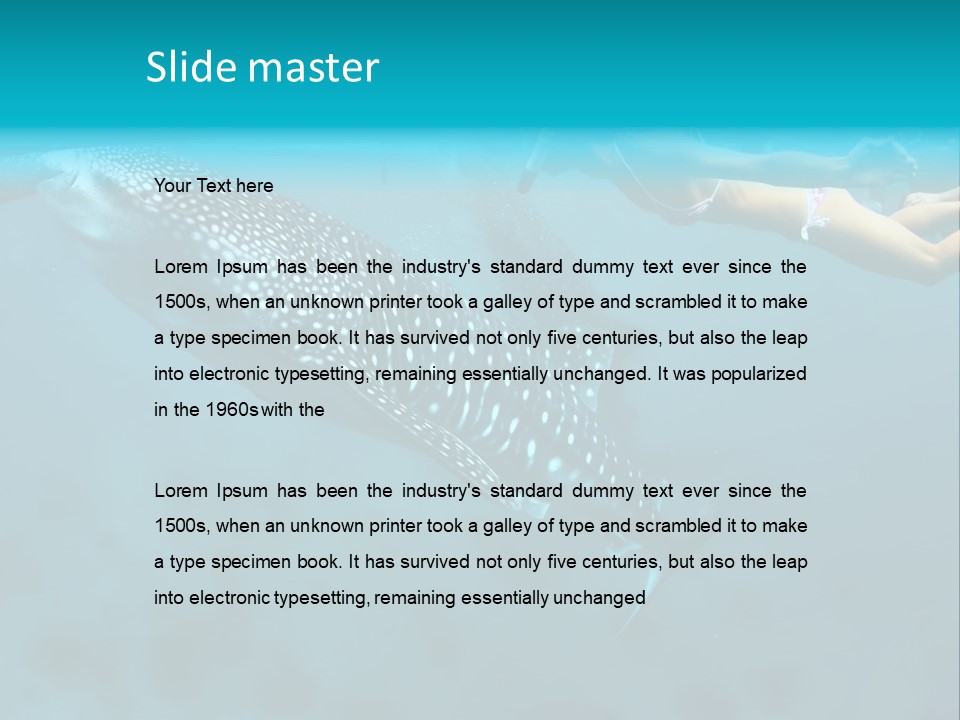 A Woman Swimming Next To A Whale In The Ocean PowerPoint Template