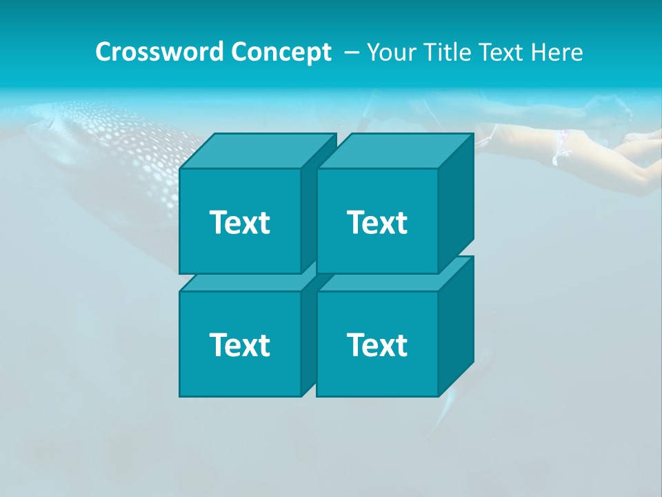 A Woman Swimming Next To A Whale In The Ocean PowerPoint Template