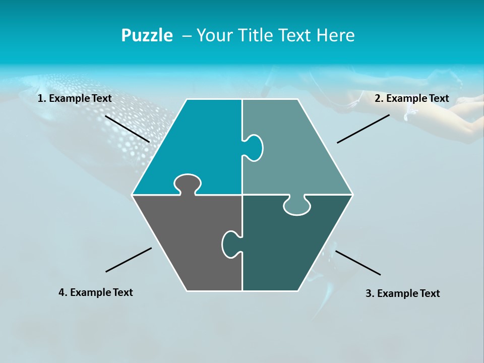 A Woman Swimming Next To A Whale In The Ocean PowerPoint Template