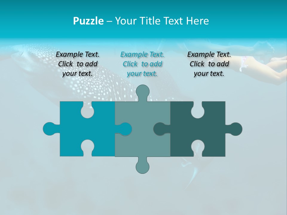 A Woman Swimming Next To A Whale In The Ocean PowerPoint Template