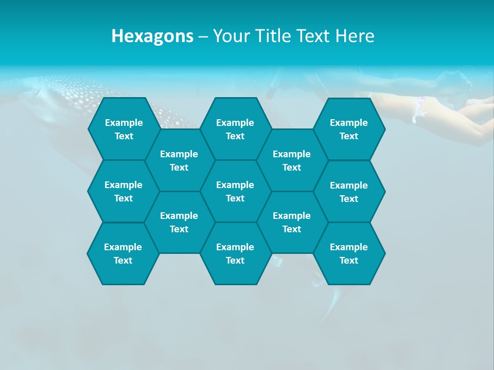 A Woman Swimming Next To A Whale In The Ocean PowerPoint Template