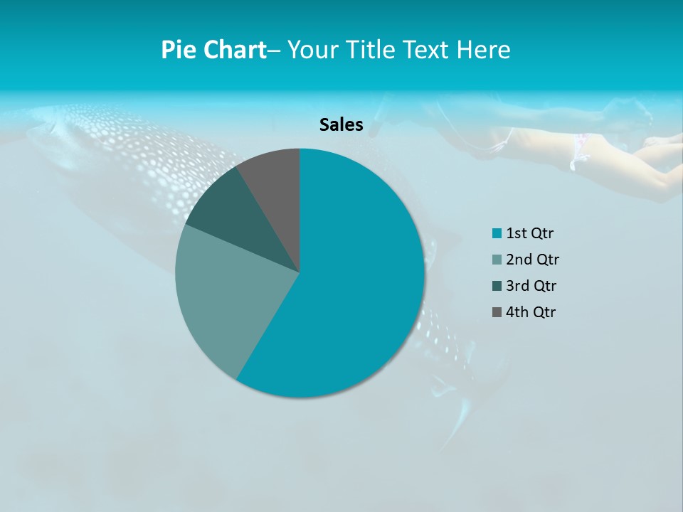 A Woman Swimming Next To A Whale In The Ocean PowerPoint Template