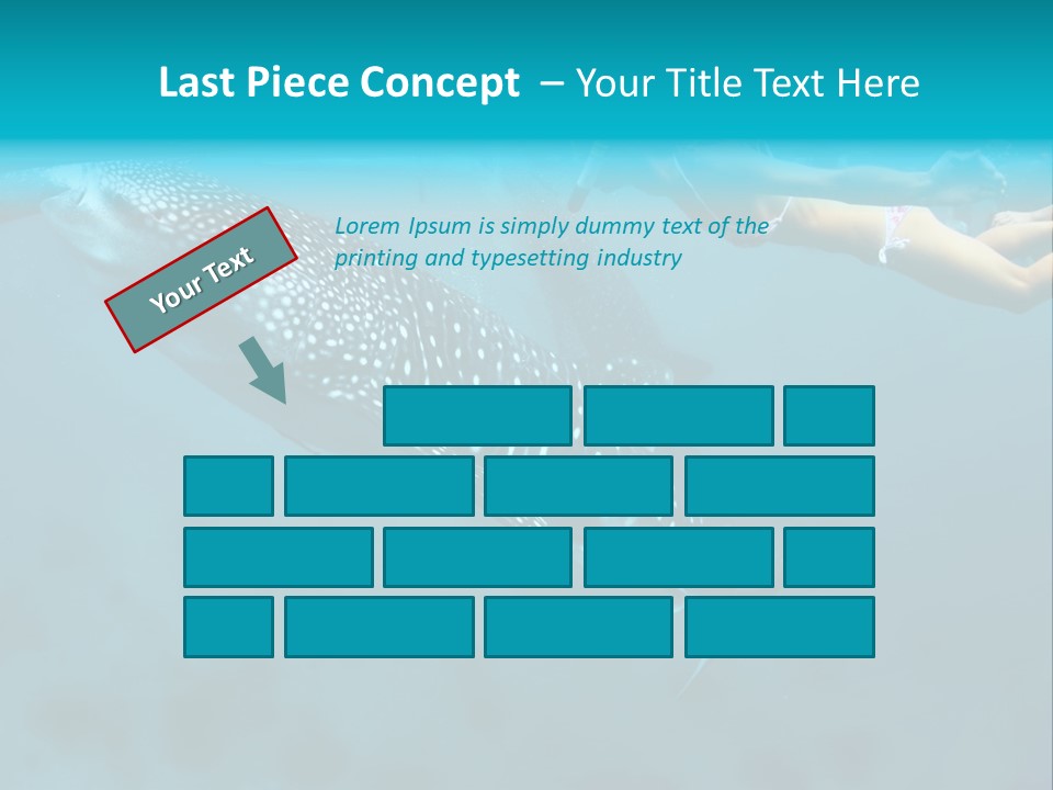 A Woman Swimming Next To A Whale In The Ocean PowerPoint Template