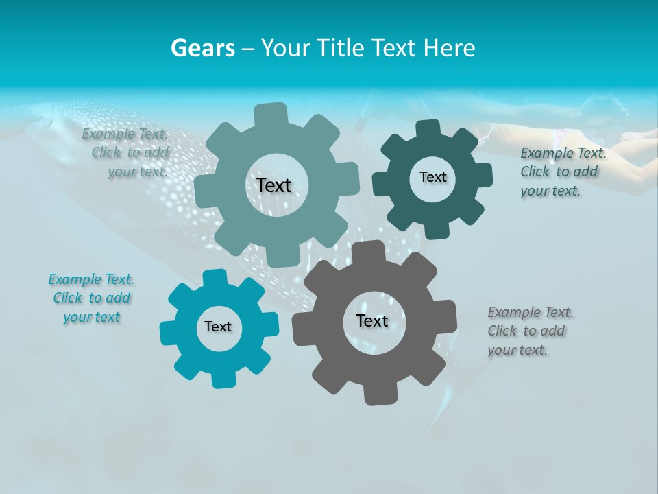 A Woman Swimming Next To A Whale In The Ocean PowerPoint Template