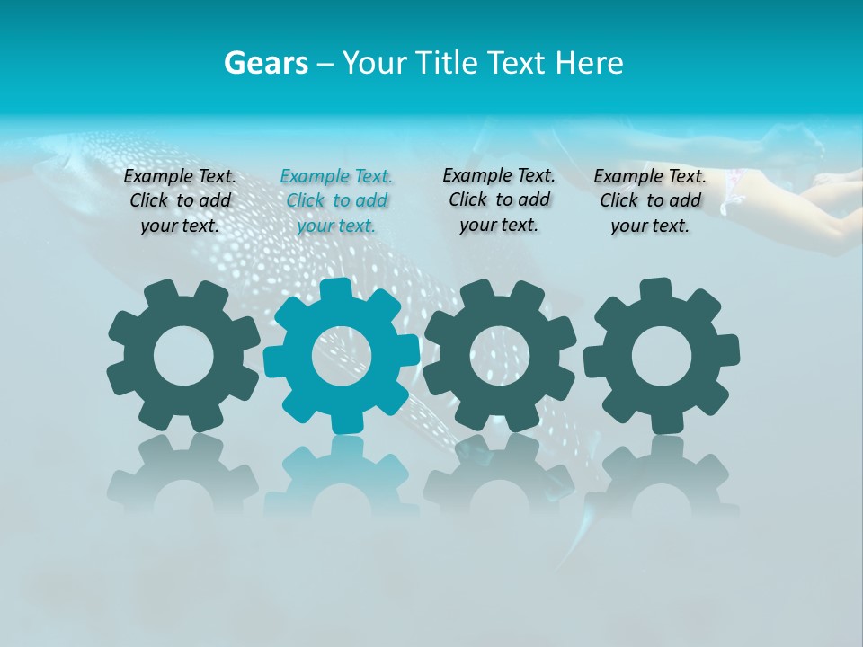 A Woman Swimming Next To A Whale In The Ocean PowerPoint Template