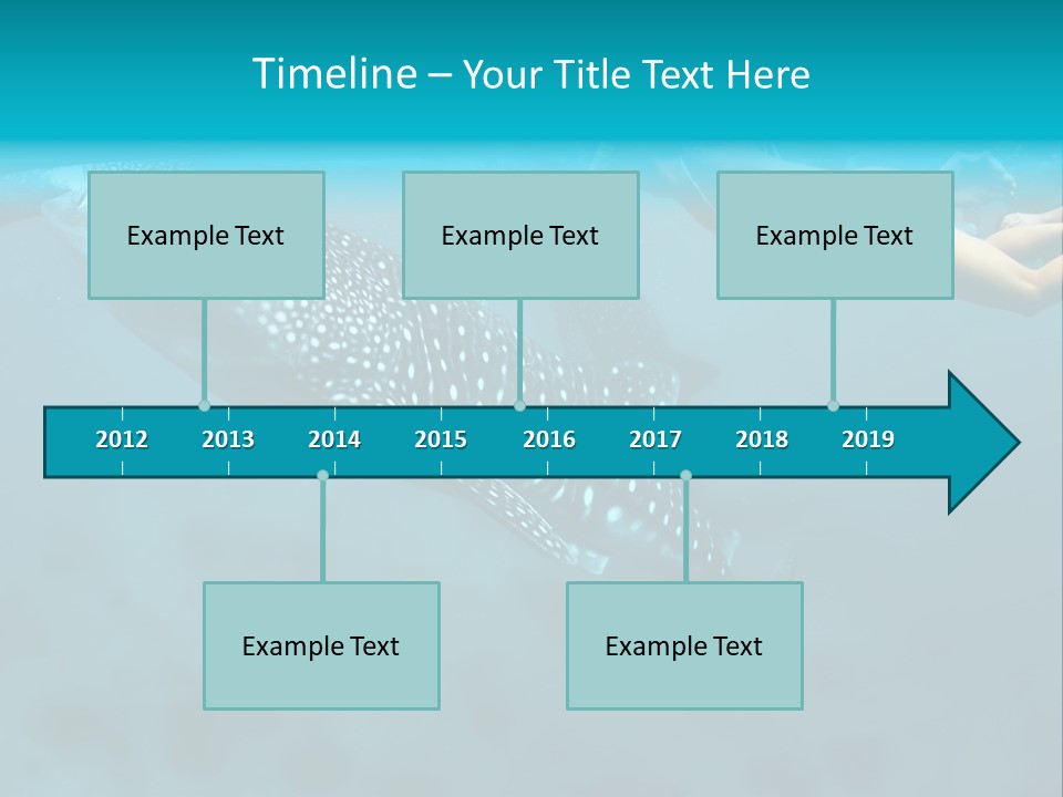 A Woman Swimming Next To A Whale In The Ocean PowerPoint Template