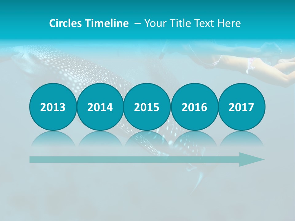 A Woman Swimming Next To A Whale In The Ocean PowerPoint Template